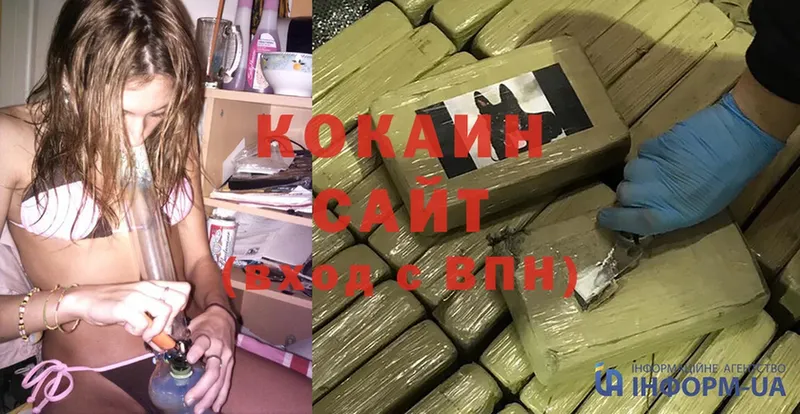 где продают наркотики  omg tor  Cocaine Columbia  Лесозаводск 